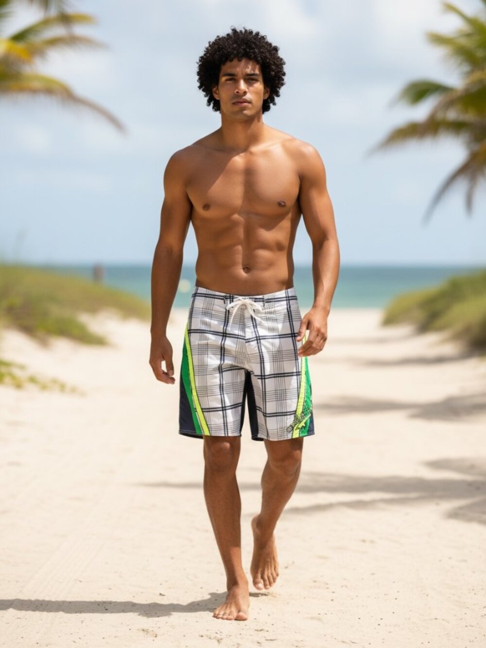 Quiksilver Mens Swim Trunks/Board Shorts‎ Sz 34 Plaid Stripe #334D